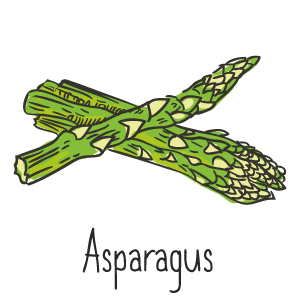 Asparagus Pizza