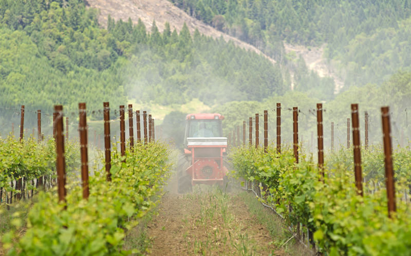 Machine spraying in a vineyard.