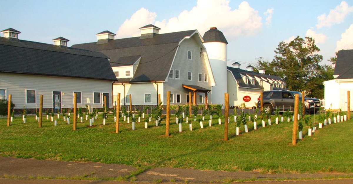 This Virginia Winery Was Built on One of WWII's Greatest Secrets VinePair