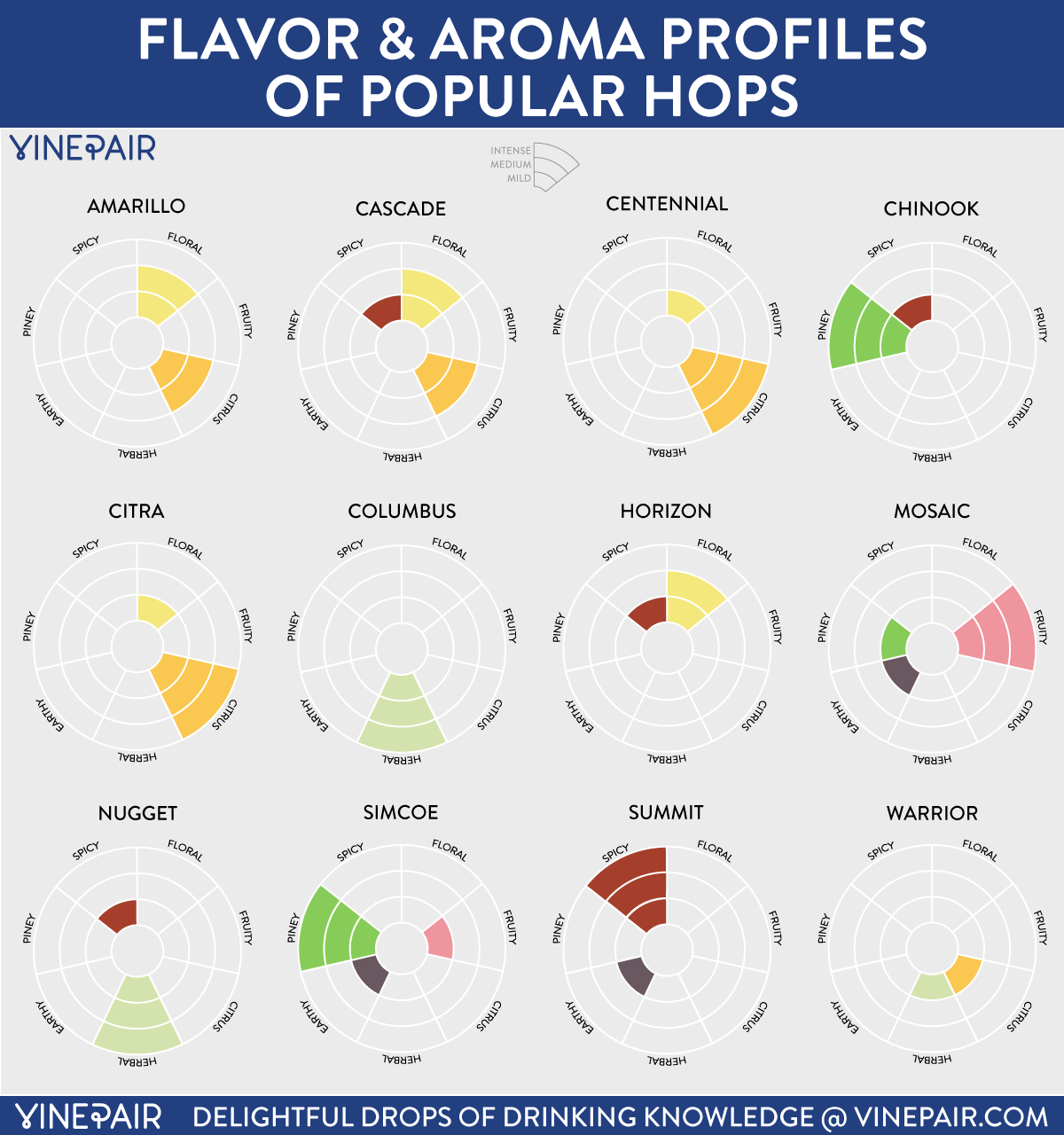 INFOGRAPHIC: Flavor and Aroma Profiles of Popular Hops