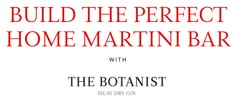 Build The Perfect Home Martini Bar
