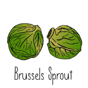 Brussels Sprout Pizza
