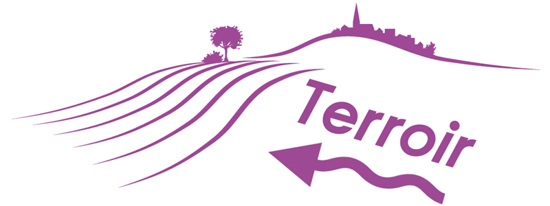 Learn About Terroir | Understanding Terroir