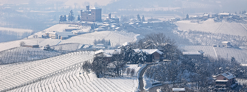 Piedmont Winter