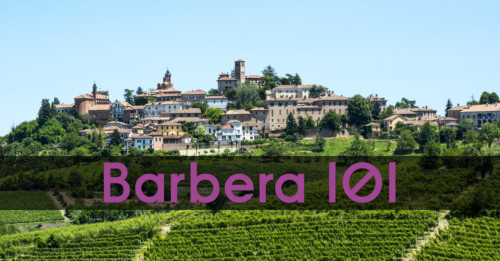 Learn About Barbera Red Wine