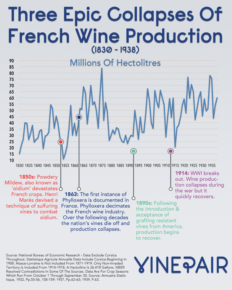 Charting Three Epic Collapses Of French Wine Production (1830 - 1938)