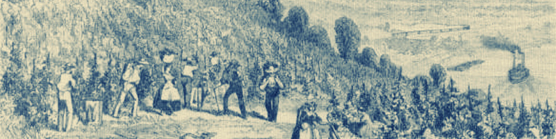 Longworth's vineyards recorded in 1858 (Harper's Weekly) 