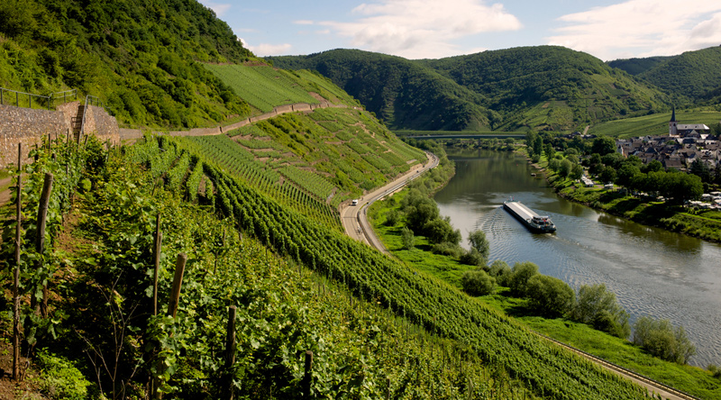 A barge floats down the river moselle