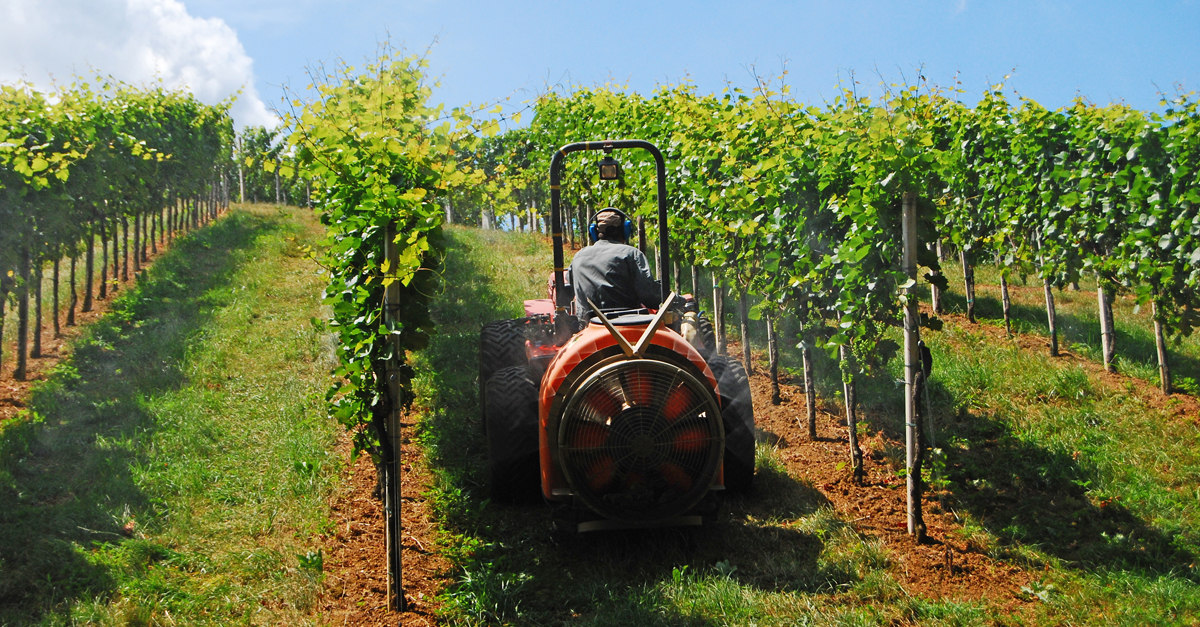 Why The Story Behind The Wine In Your Glass Matters | VinePair