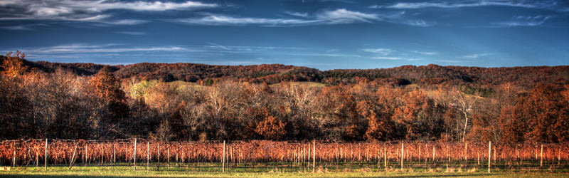 Missouri Wine Country In The Fall