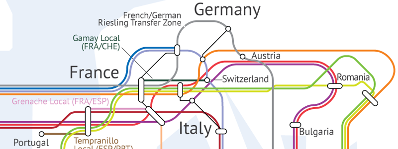 The Wine Grape World Transit Map