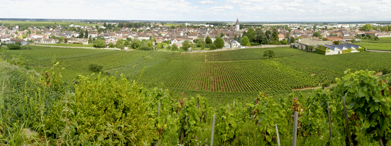 Burgundy Landscape