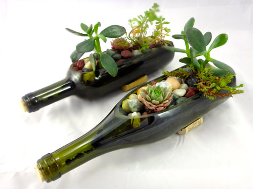 Wine Bottle Garden Cacti