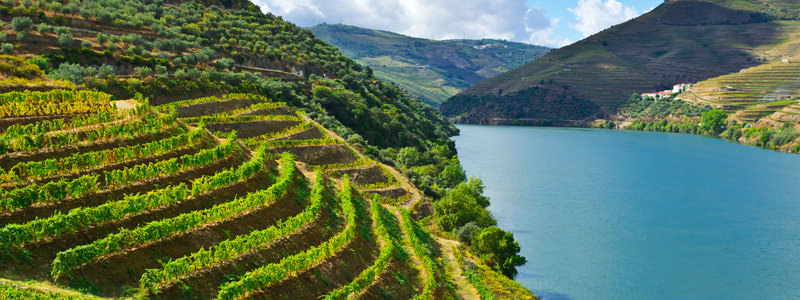Why You Should Be Drinking Wine From Portugal