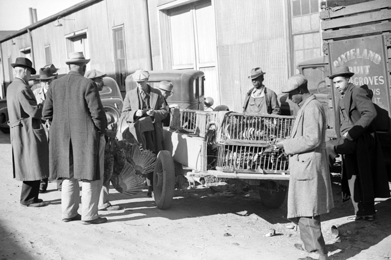 Farmer selling Thanksgiving turkey to farmer outside warehouse where tobacco auction sales are being held. Durham, North Carolina