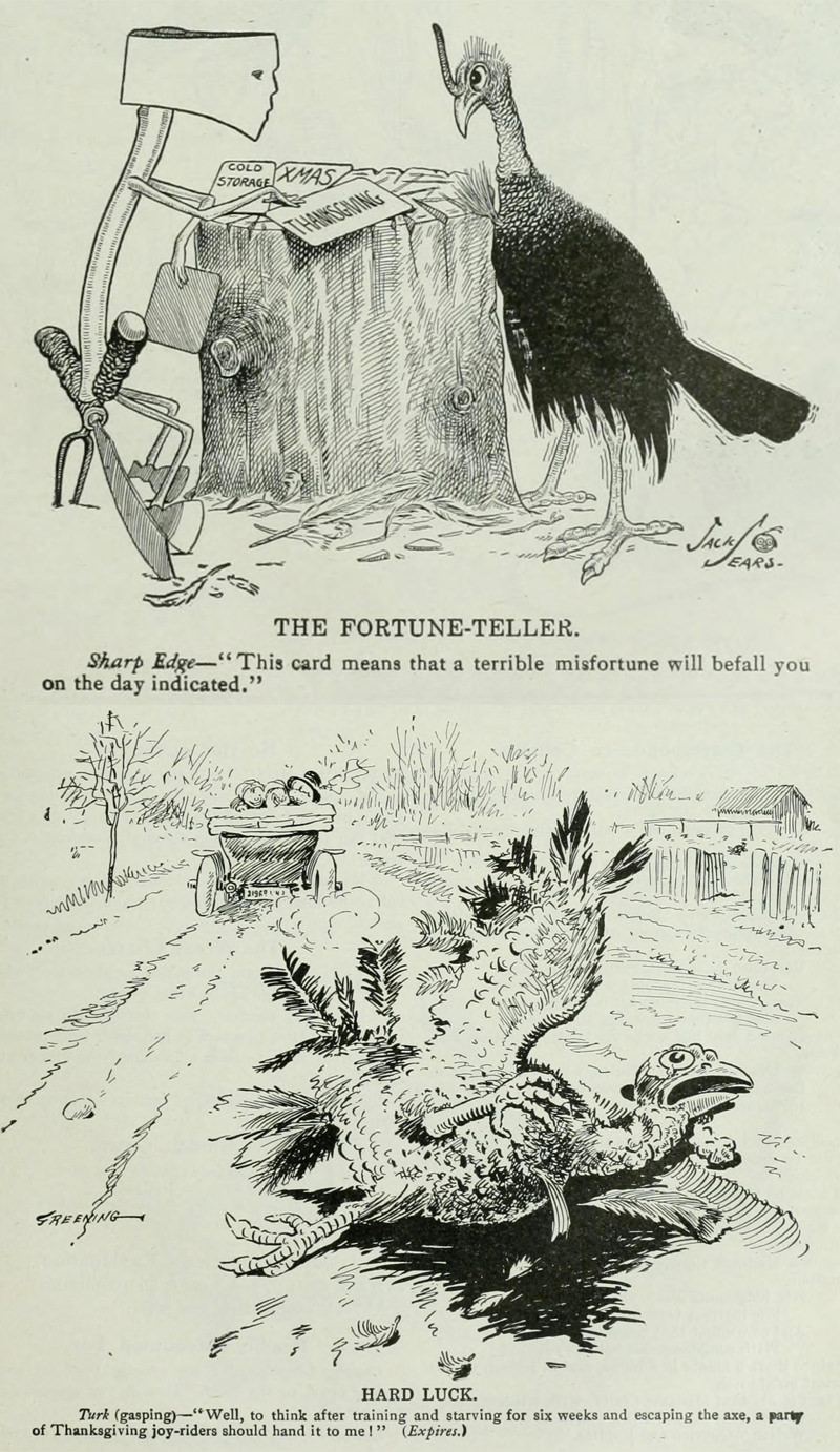 1911 - Caricature: Wit and Humor of a Nation in Picture, Song and Story Illustrated by Grant E. Hamilton
