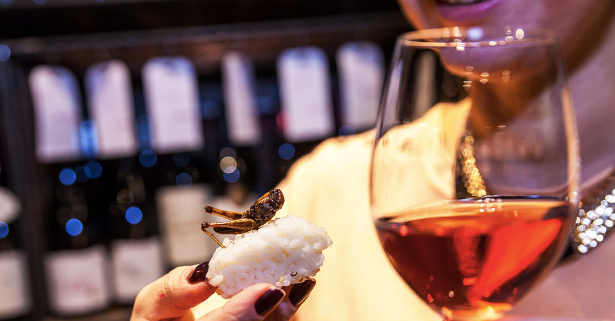 A British Wine Merchant Now Publishes Wine & Insect Pairings | VinePair