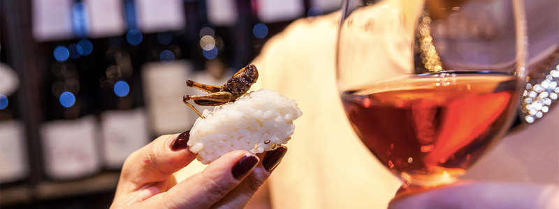 10 Wine And Insect Pairings