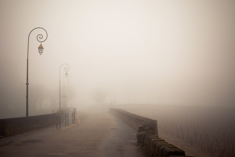 A Foggy Road By The Vineyards - Saint-Émilion, France