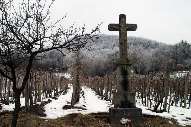 A Cross In Front Of A Vineyard - Slovakia