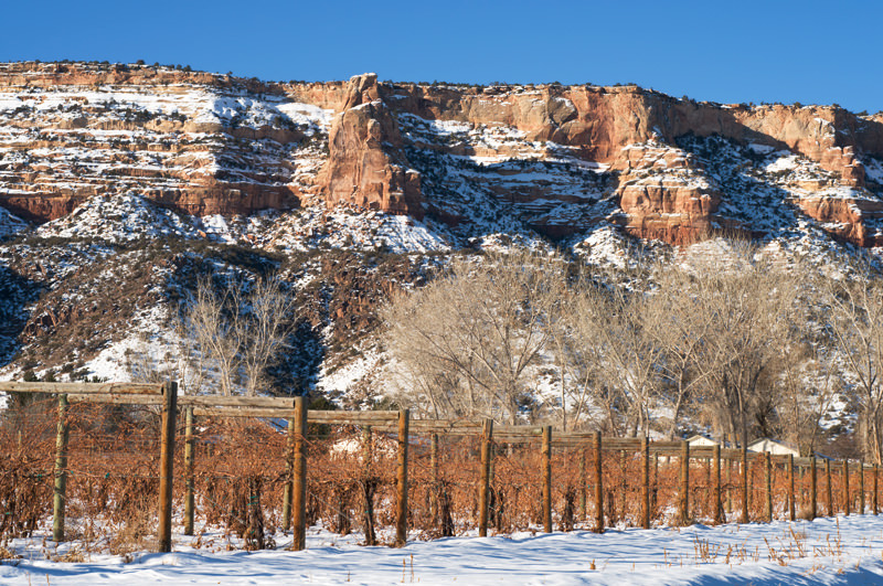 Colorado Wine Country - The United States