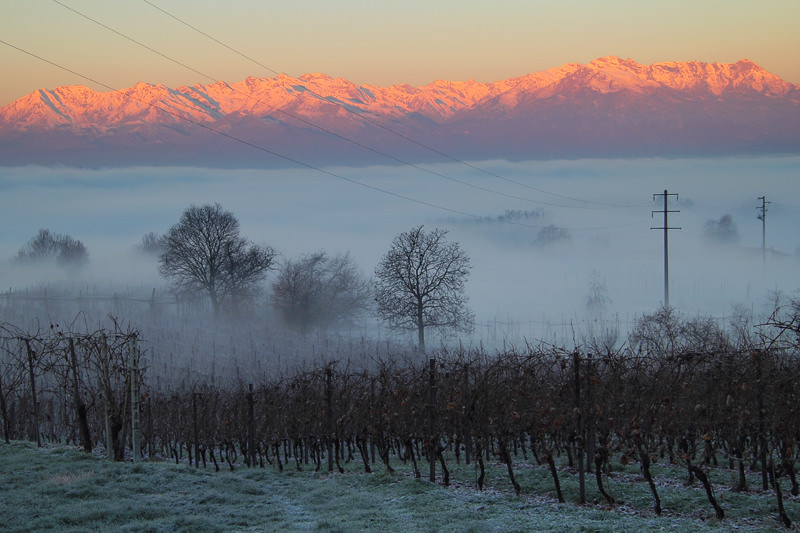 A Foggy Morning - Turin, Italy