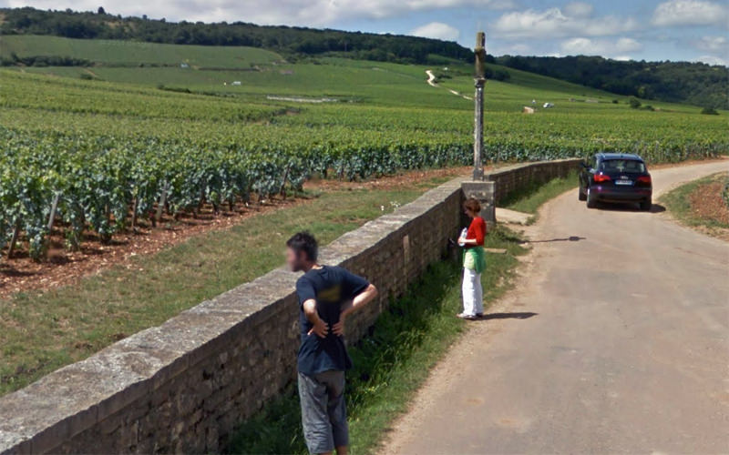 Tourists Admiring The Domaine de la Romanée-Conti Vineyards