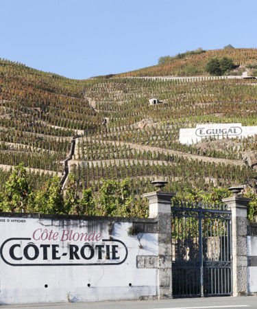 16 Places In France Every Wine Lover Needs To Put On Their Bucket List