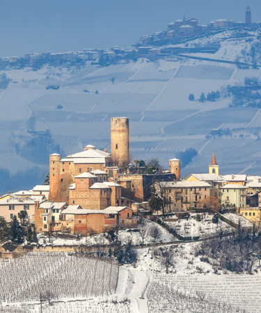 14 Magical Photos Of Vineyards In The Winter