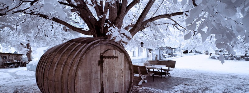 Swoon-Worthy Winter Weddings At Wineries