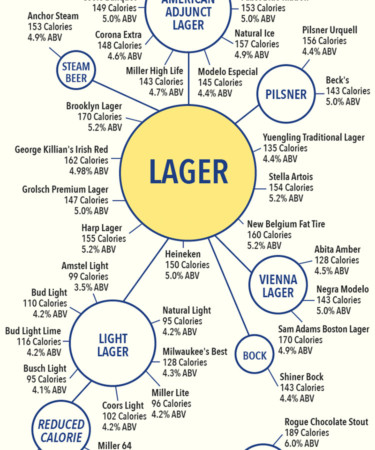 Counting Calories In 50 Popular Beers: INFOGRAPHIC