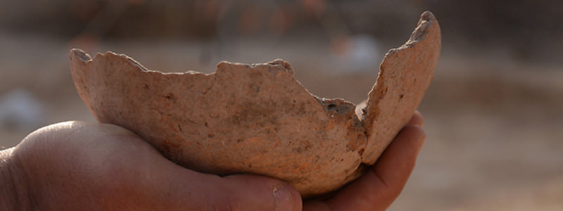 Ancient beer was made in Tel Aviv