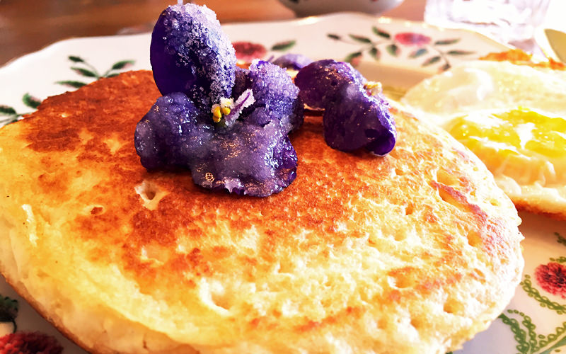 Candied Violet Pancakes 