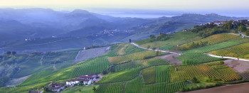 Take A Magical Trip To Piedmont Italy To Visit The Wines Of Kings And