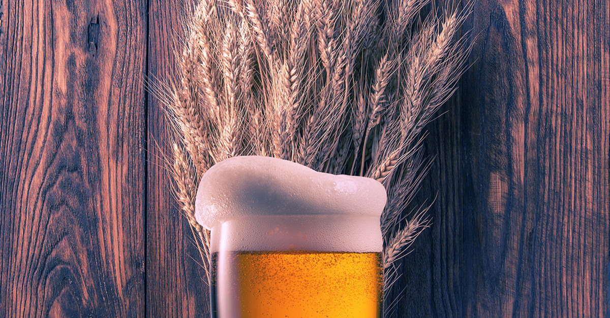Работа пшеничное. Пшеничное пиво. Пиво пшеница. Пиво фон. Пиво на фоне пшеницы.