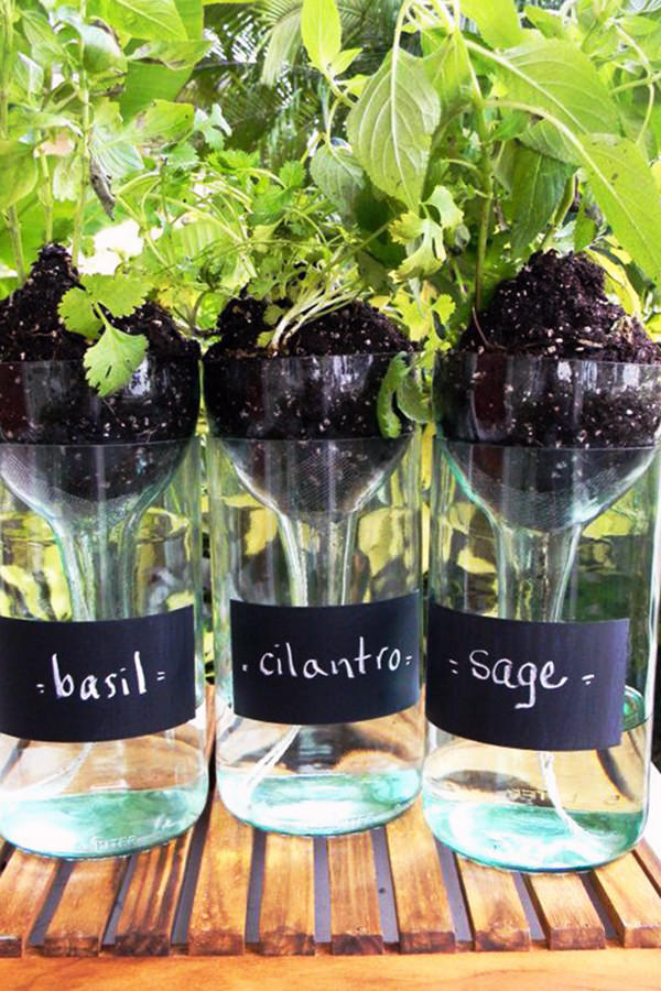 Use wine bottles as planters