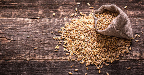 Barley, the surprising super grain