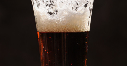 Tasting Beer – Beer’s Basic Structure
