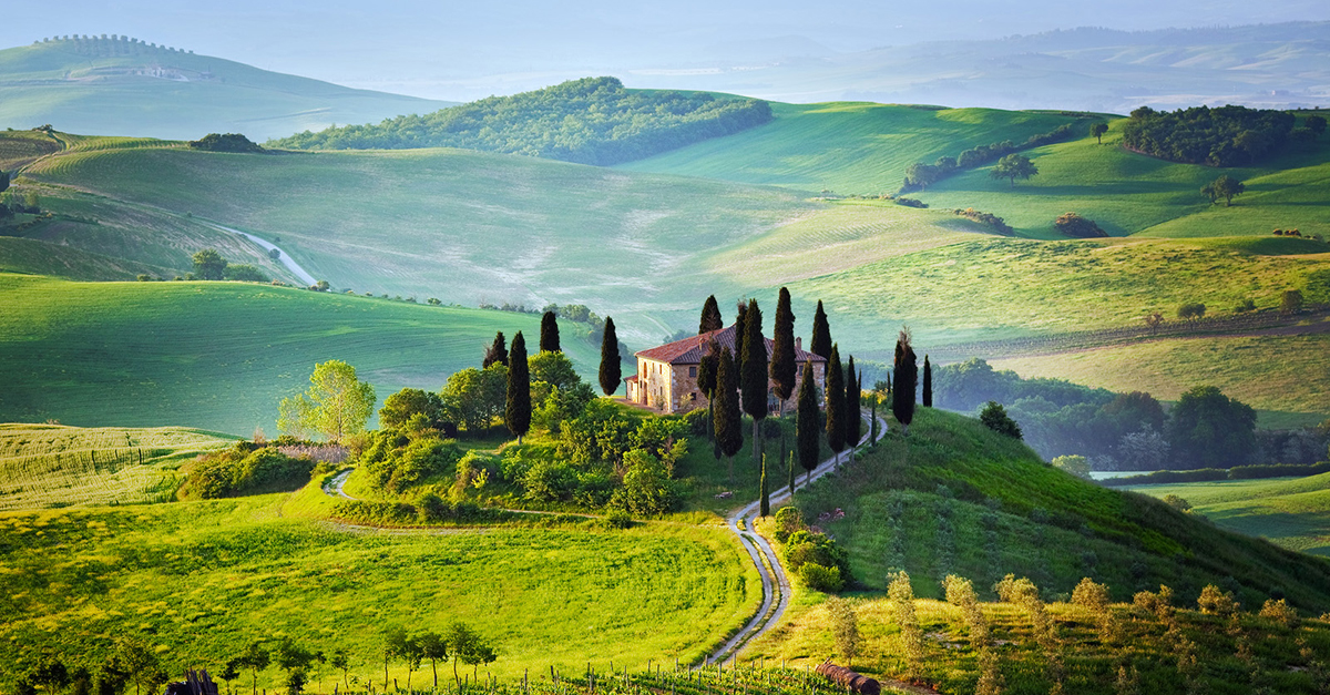 airbnb tuscany wine tour