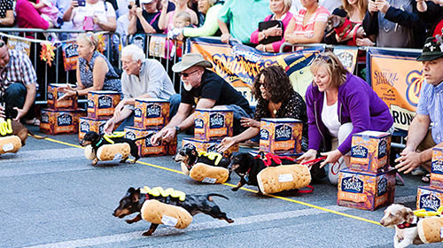 Running of the Weiners