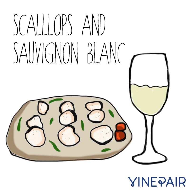 Scallops go very well with Sauvignon Blanc