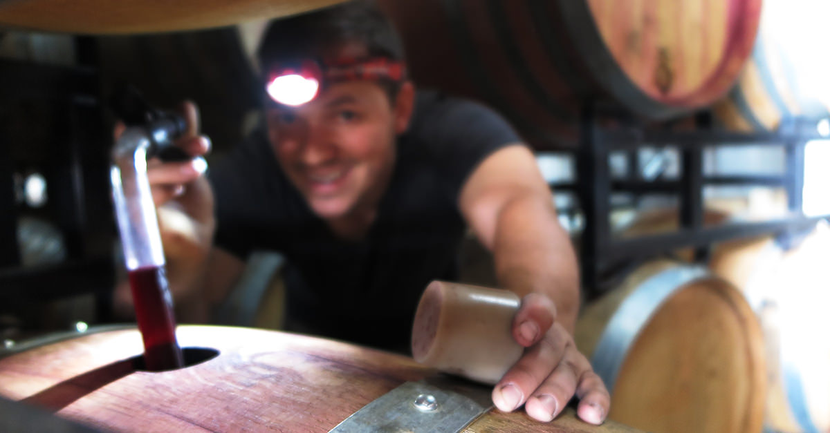 A Day In The Life Of A Wine Cellar Rat VinePair