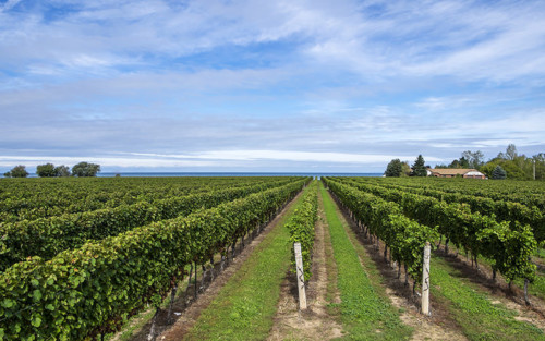 10 Up And Coming Wine Regions You Should Visit | VinePair