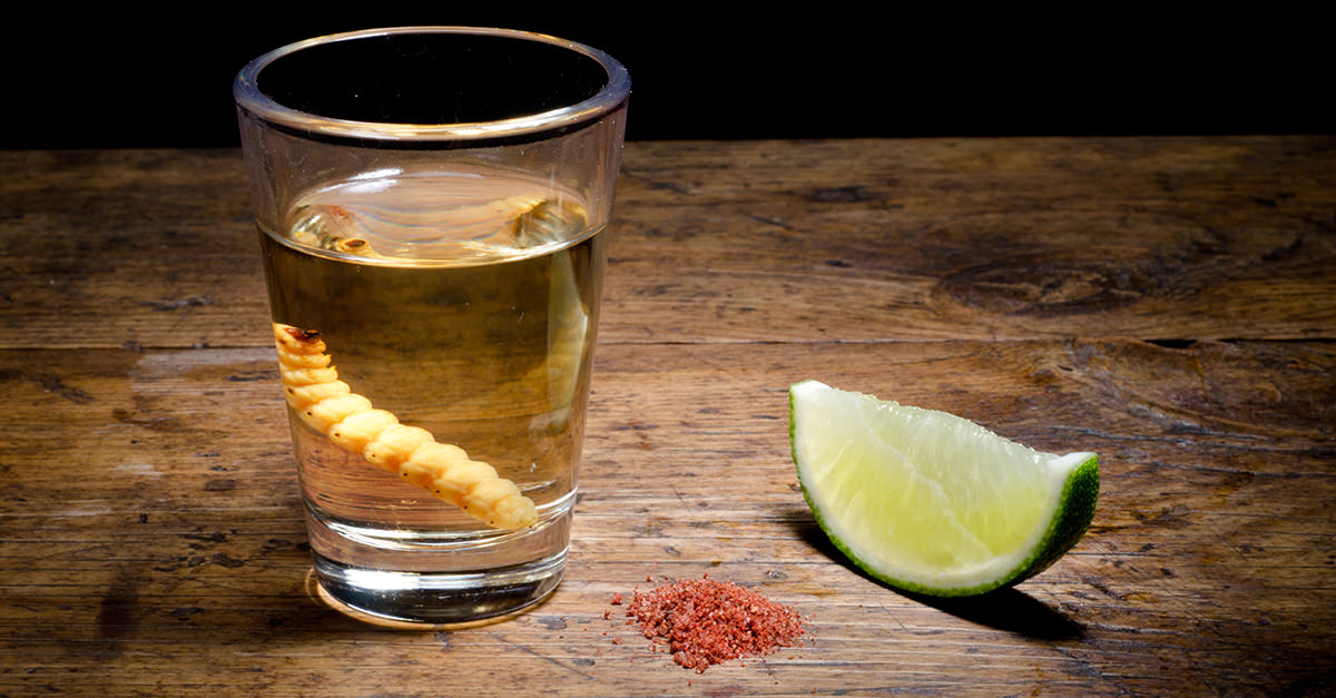tequila bottle with worm