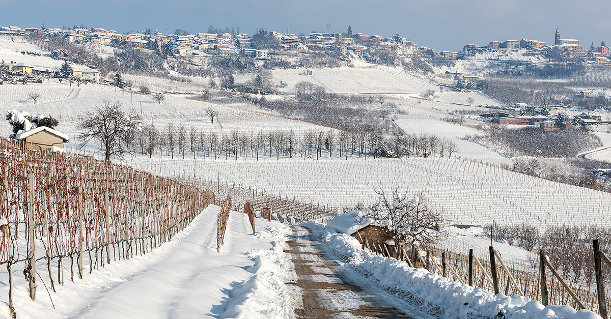 Winter winery hotsell