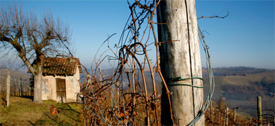 Hillberg Winery