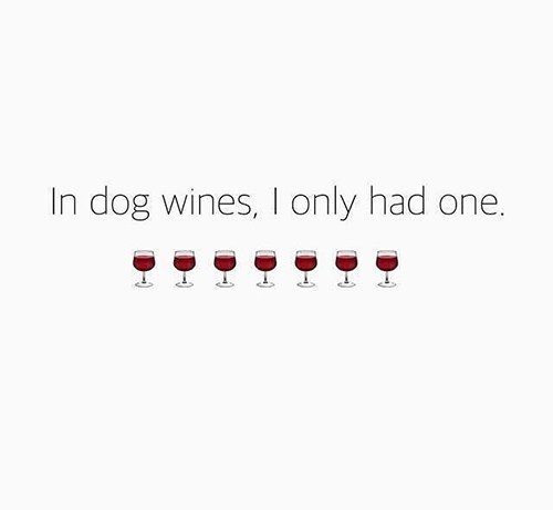 Wine In Dog Years