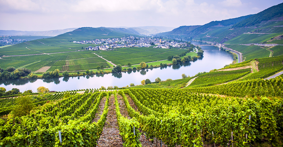 Why Rivers Make Great Wine Regions VinePair