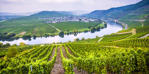 Why Rivers Make Great Wine Regions | VinePair