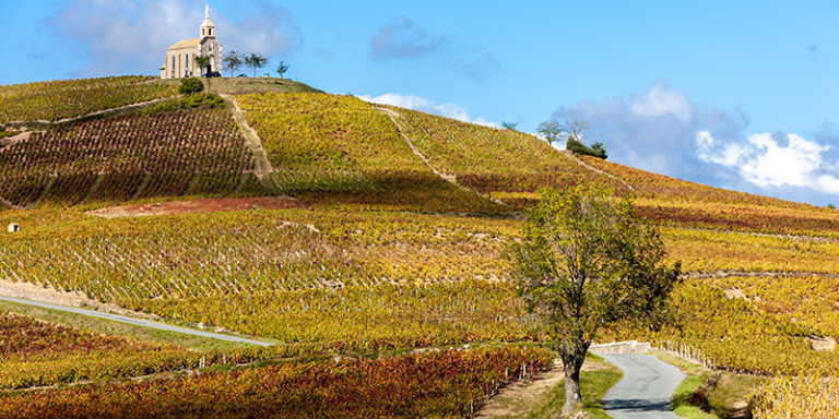 A Personality Guide To The 10 Crus Of Beaujolais - With Map! | VinePair